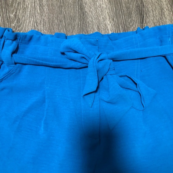 Bar III Moonbeam Blue Fashion Wide-Leg Paperbag Waist Tie-Front Pants XL NWT - Picture 3 of 9